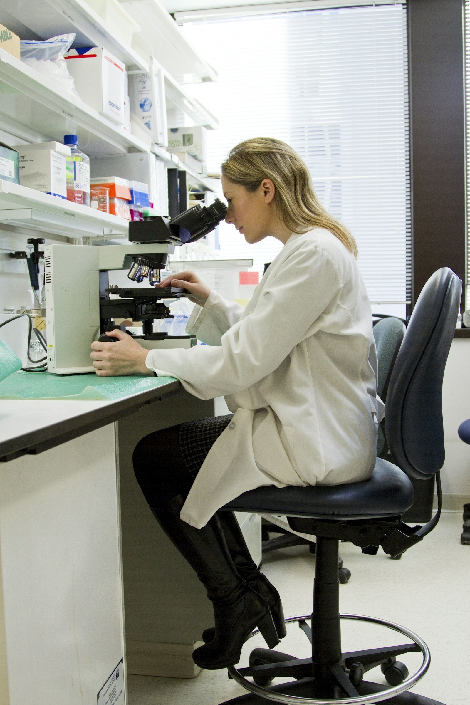 Quality inspection and laboratory testing